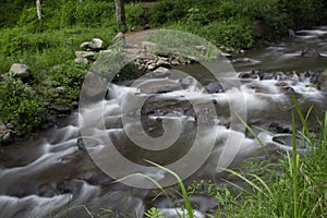 Long exposure river flow in the forest