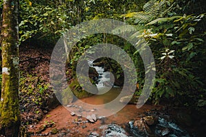 Long exposure of a river in a tropical humid forest in costa rica