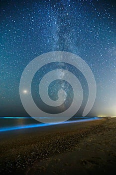 Long exposure shot of glowing plankton on sea surf and milky way. Blue bioluminescent glow of water under the starry sky