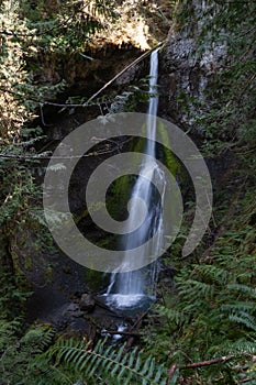 Long exposure shot of Marymere Falls from another perspective, Olympic Peninsula, USA