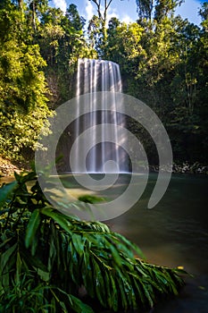 Long exposure shot of Millaa Milla Falls in the summer in Queensland, Australia