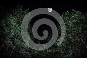 Long exposure shot. Mountain Road through the forest on a full moon night. Scenic night landscape of dark blue sky with moon.