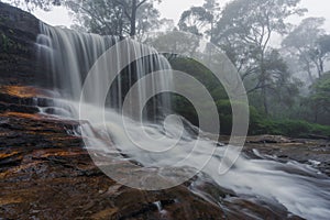 Long exposure shot of a scenic waterfall and wild dark forest on a foggy day, Wentworth Falls