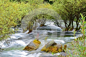 Long exposure shot of stream and trees in Jiuzhaigou national park, China.