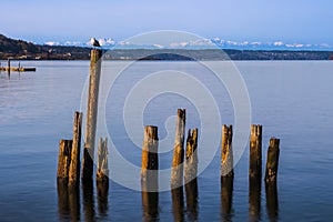 Long Exposure shot of trestle bridge and old pier pilings at Tacoma water front.