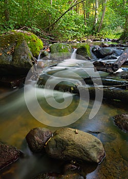 Long exposure silky water stream running through mountain rocks in the woods. Fast natural cold creek with mossy rocks in between