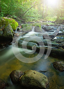 Long exposure silky water stream running through mountain rocks in the woods. Fast natural cold creek with mossy rocks in between