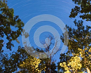 Long exposure of star trails at night in a clearing in the forest in Governor Knowles State Forest in Wisconsin photo