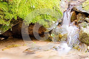 Long exposure summer forest waterfall