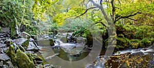 Long exposure view of the autumn forest