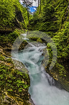 A long exposure view down the turbulent Radovna River as it surges over rapids in the Vintgar Gorge in Slovenia