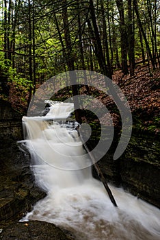 Long Exposure - Waterfall / Cascade - Spring Season - Ithaca, New York