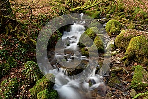 Tarr steps in Devon