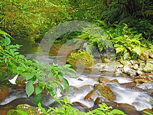 Long exposure in wild river