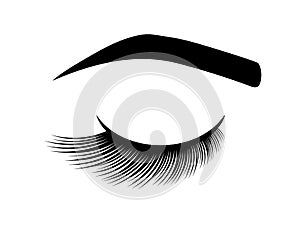 Long eyelashes and eyebrow on a white background. Symbol. Vect or