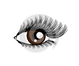Long female eyelashes on a white background. Eye. Symbol. Vector
