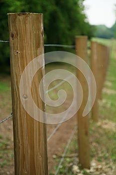 Long fence of wooden posts 2