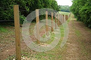 Long fence of wooden posts