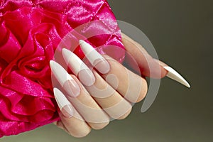 Long French nails. photo
