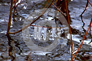 Long frozen water drops in the lake before it all freezes