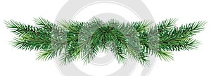 Long garland of Christmas tree branches . Realistic fir-tree bo