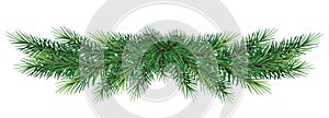 Long garland of Christmas tree branches . Vector illustration. photo