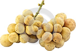 Long gong fruit from thailand