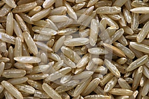 Long Grain Rice.