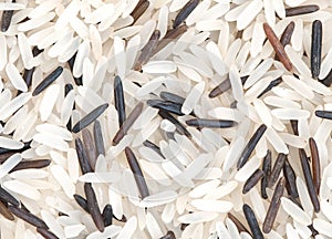 Long grain rice macro background