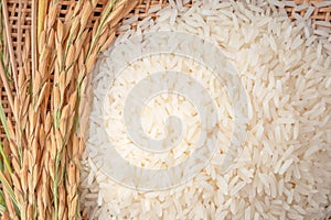 Long grain of rice and rice,White rice Jasmine rice thailand