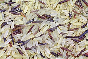 Long Grain Wild Rice Seasonings Close View