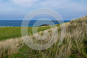 Long grass field overlooks a lighthouse in the distance