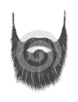 Long Gray Beard