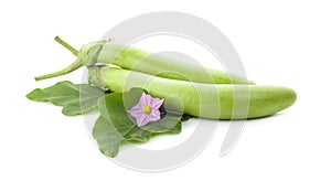 Long Green Aubergine or Eggplant Solanum melongena isolated on white