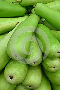 Long green bottle gourd shown from one end