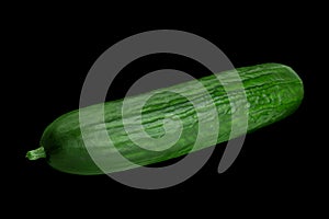 Long green cucumber on black