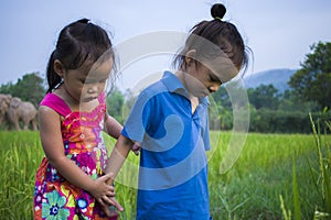 Long hair boy and little girl playing in rice field. and a girl she scared a muddy