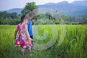 Long hair boy and little girl playing in rice field. and a girl she scared a muddy