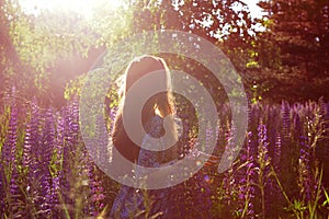 Long hair girl girl stands in a lupine field in the rays of the setting sun. Backlight, wild blue-purple lupins