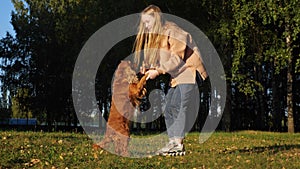 Long haired blonde girl plays with ginger dog holding paws