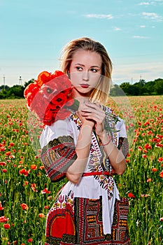 Long-haired blonde young woman in a white short dress on a field of green wheat and wild poppies