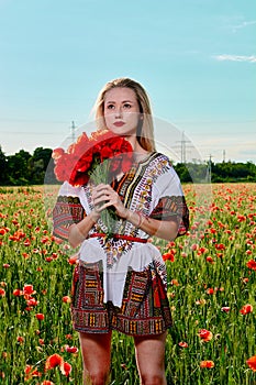 Long-haired blonde young woman in a white short dress on a field of green wheat and wild poppies