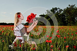 Long-haired blonde young woman in a white short dress on a field of green wheat and wild poppies