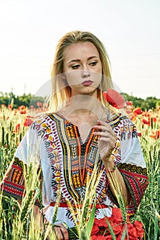 Long-haired blonde young woman in a white short dress on a field of green wheat and wild poppies