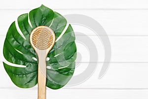Long handle natural bristle brush for body skin care with monstera green leaf. Copy space. Dry brushing minimal concept