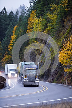 Long haul Semi trucks convoy in rain autumn windnig road