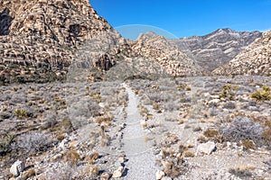Long hiking trail leading into the wilderness