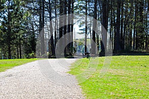 A long hiking trail near a lake surrounded by lush green grass with blue lake water and lush green trees and blue sky