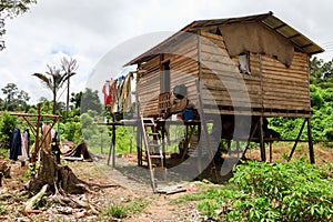 Long house of the Iban tribe