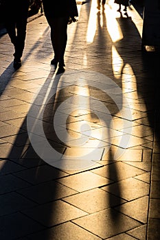 Long human shadows projected on the pavement at sunset